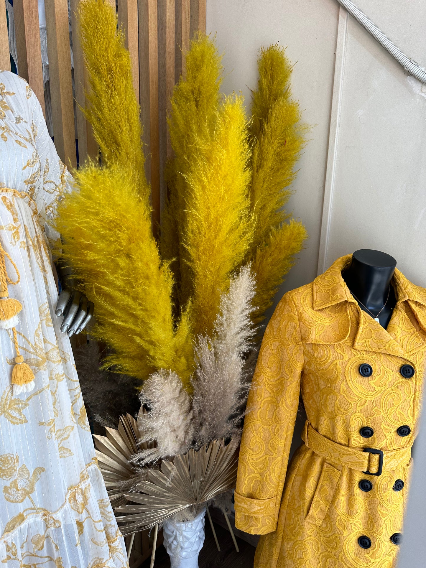TIGES DE PAMPAS