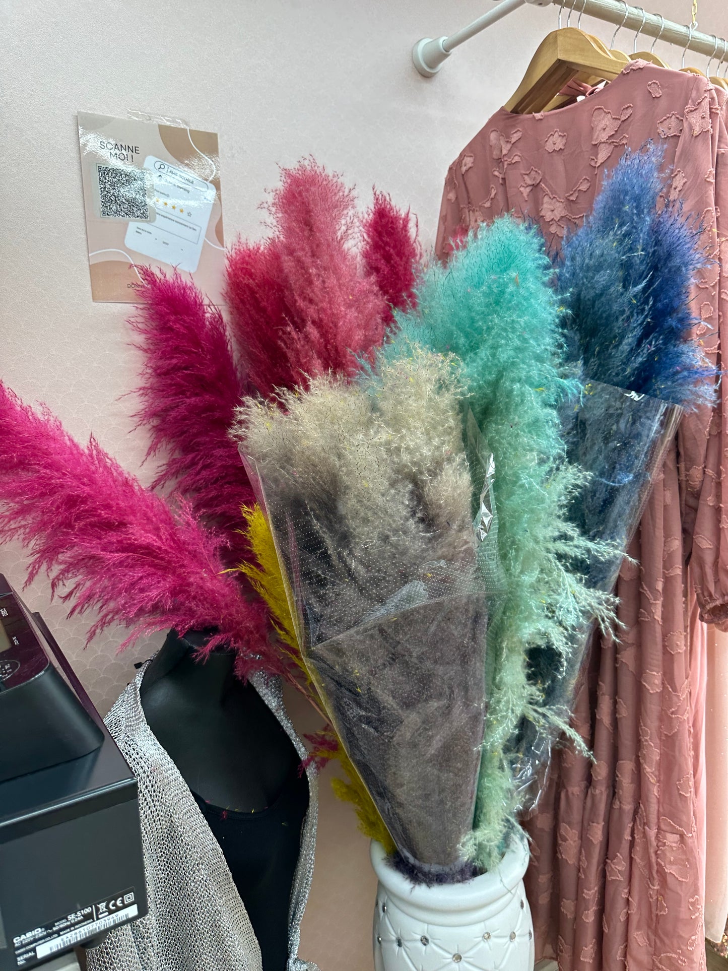 TIGES DE PAMPAS