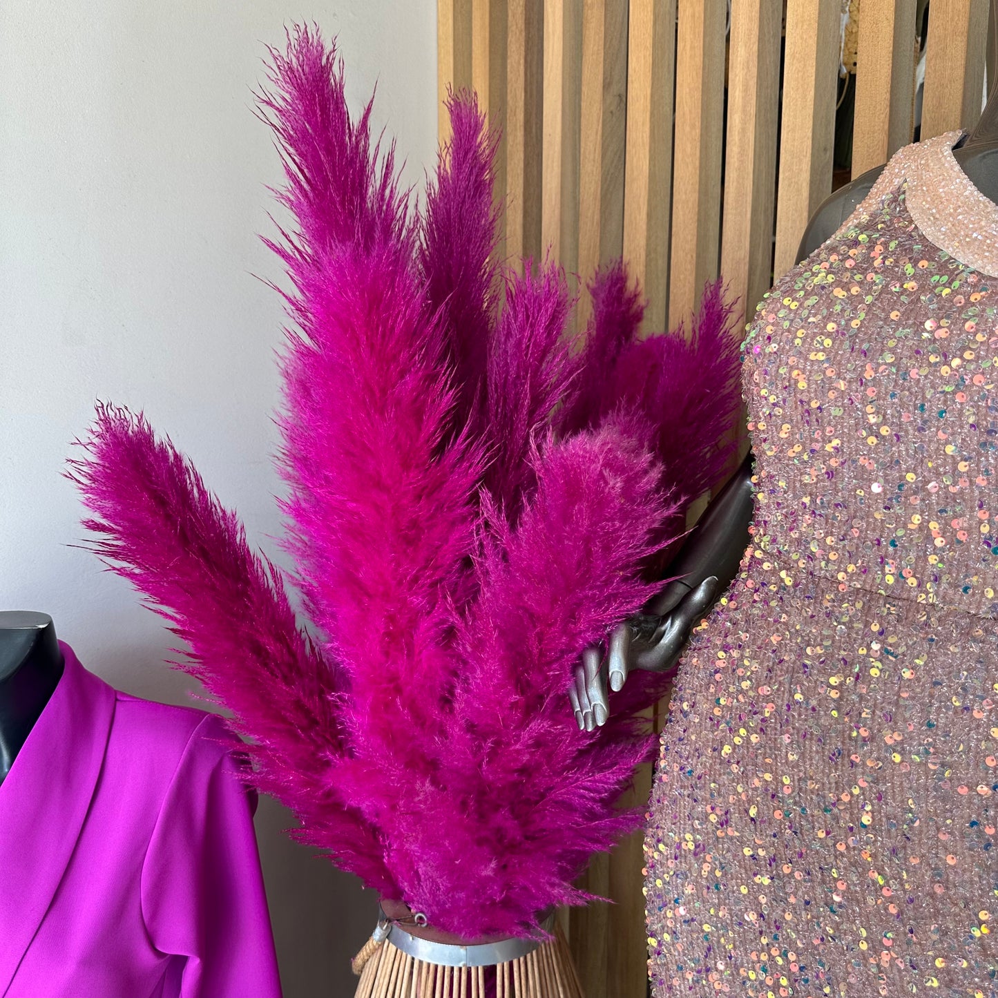 TIGES DE PAMPAS