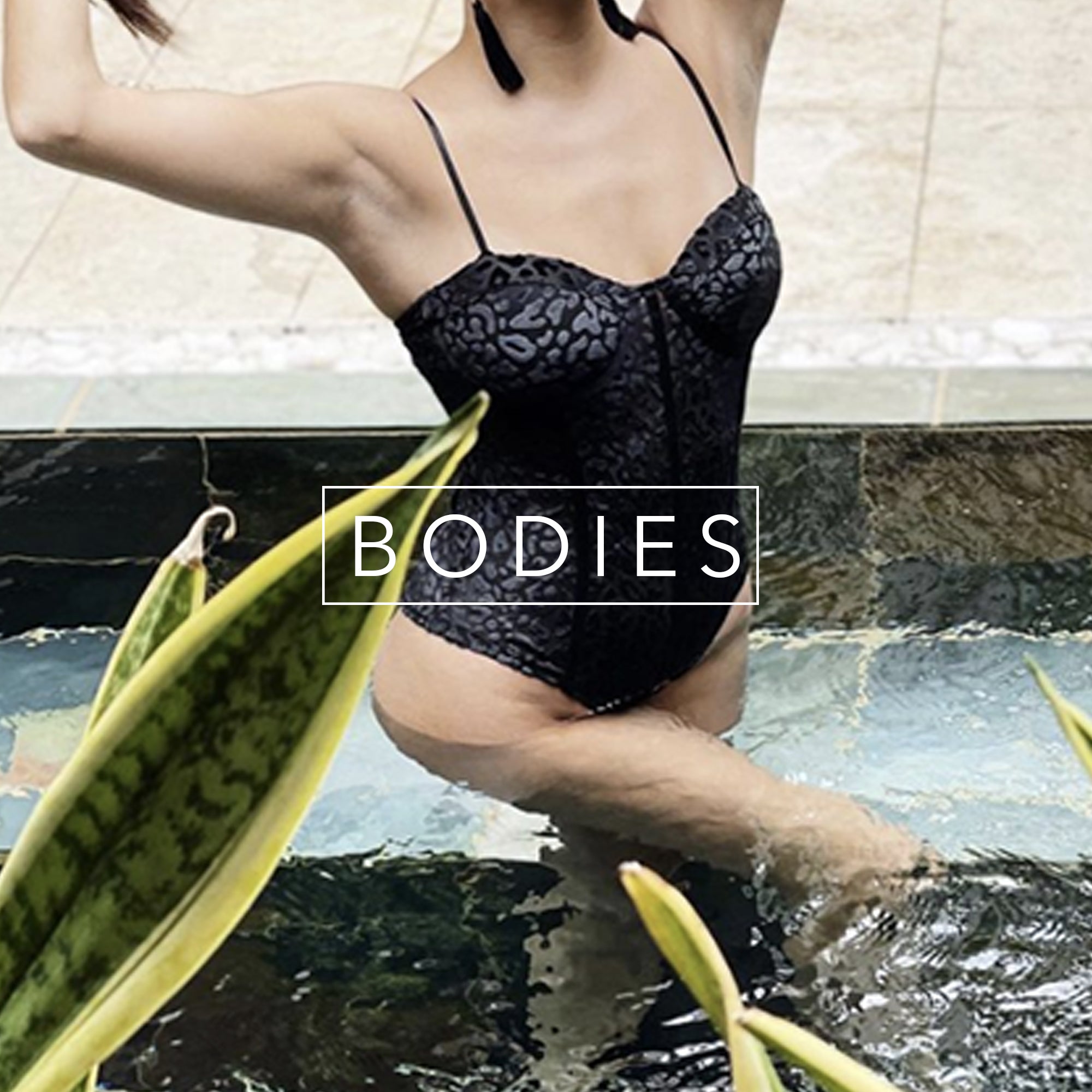 Bodies